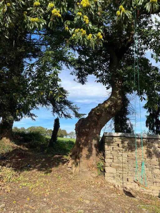 Gite Du Dolmen Guiscriff Екстериор снимка